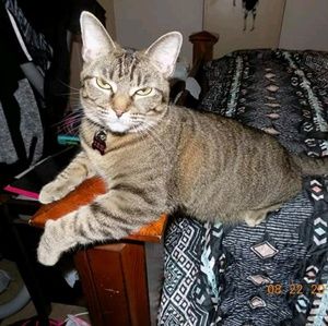 Meet your Posher, Cindy